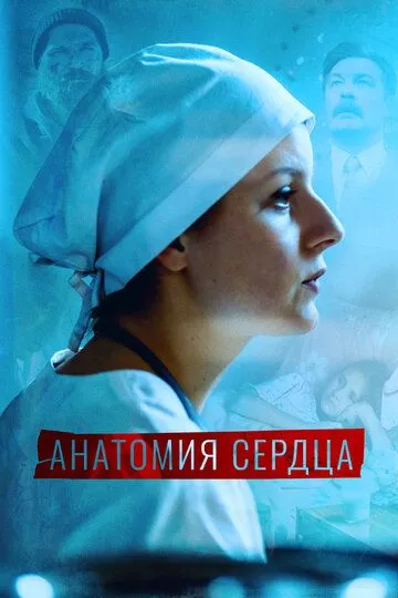 Анатомия сердца смотреть бесплатно